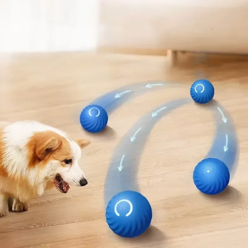 ChaseMate™ Interactive Ball