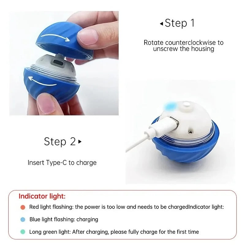 ChaseMate™ Interactive Ball