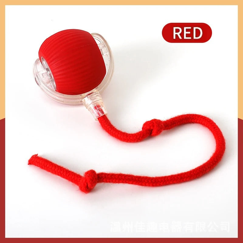 ChaseMate™ Interactive Ball